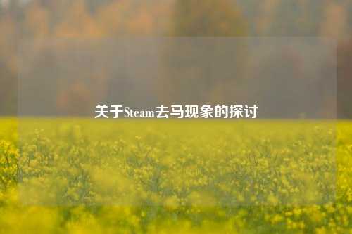 关于Steam去马现象的探讨