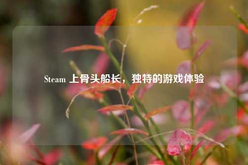 Steam 上骨头船长，独特的游戏体验