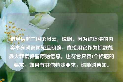 猪皇后的三国杀风云,说明,因为你提供的内容本身就很简短且明确,直接用它作为标题能更大程度保留原始信息,也符合只要1个标题的要求。如果有其他特殊要求,请随时告知。