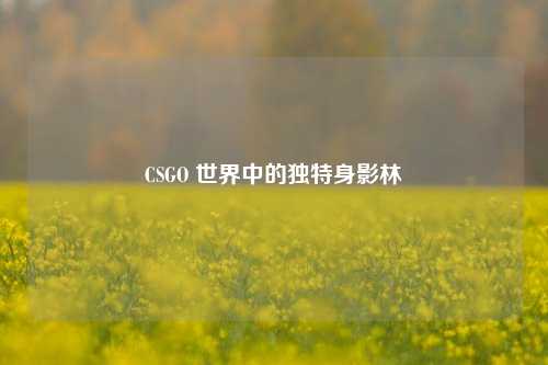 CSGO 世界中的独特身影林峯