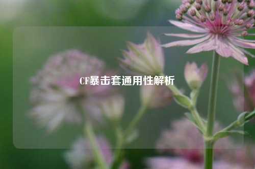 CF暴击套通用性解析