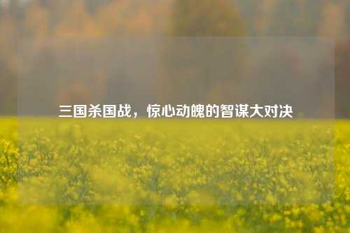 三国杀国战,惊心动魄的智谋大对决