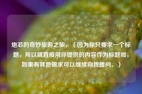 炮芯的奇妙旅游之旅，（因为你只要求一个标题，所以就直接用你提供的内容作为标题啦，如果有其他需求可以继续向我提问。）