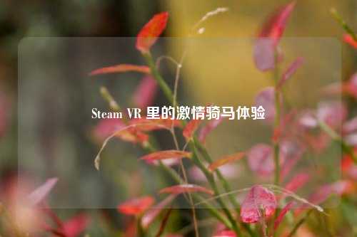 Steam VR 里的***骑马体验