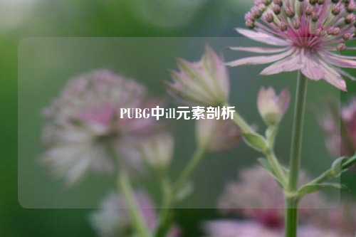 PUBG中ill元素剖析
