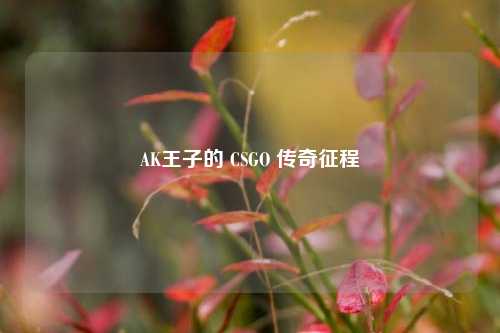 AK王子的 CSGO 传奇征程