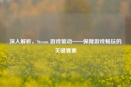 深入解析，Steam 游戏驱动——保障游戏畅玩的关键要素