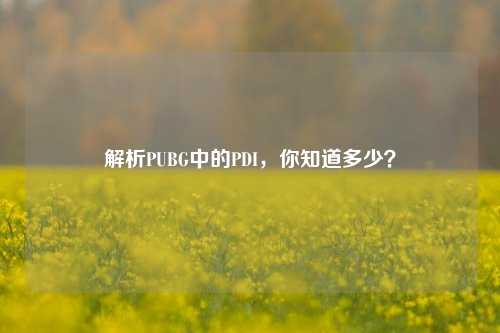 解析PUBG中的PDI，你知道多少？