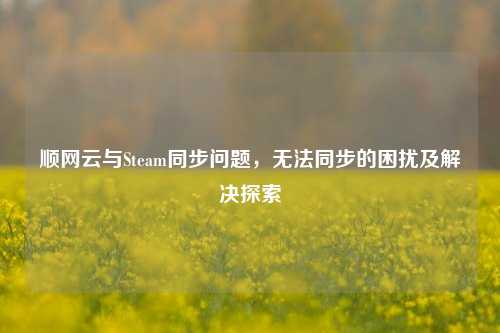 顺网云与Steam同步问题，无法同步的困扰及解决探索