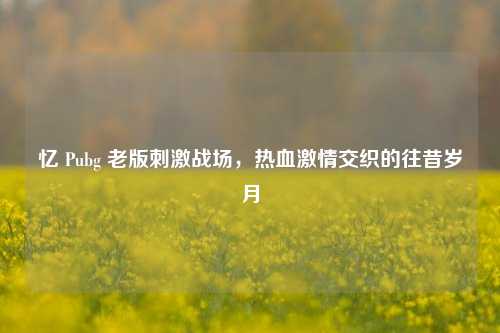 忆 Pubg 老版***战场,热血***交织的往昔岁月