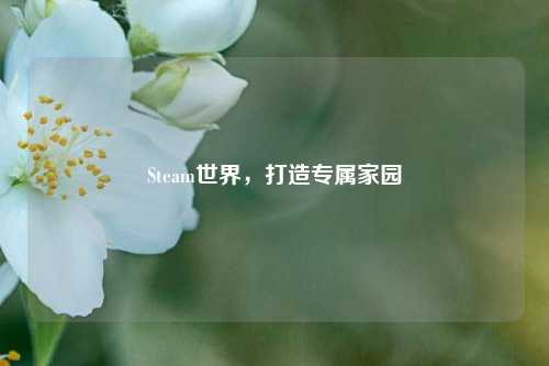 Steam世界，打造专属家园