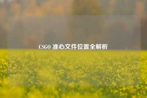 CSGO 准心文件位置全解析