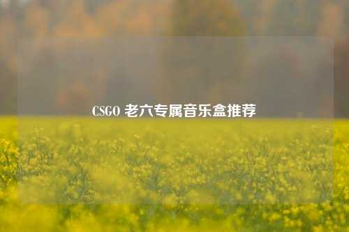 CSGO 老六专属音乐盒推荐