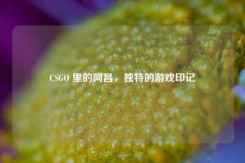 CSGO 里的阿昌,独特的游戏印记
