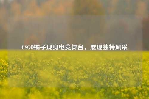 CSGO橘子现身电竞舞台,展现独特风采