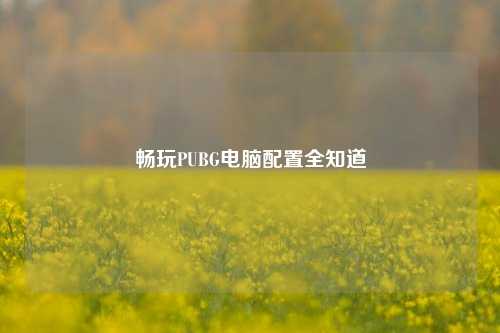畅玩PUBG电脑配置全知道