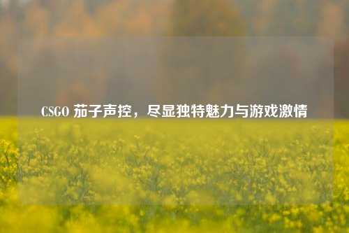 CSGO 茄子声控，尽显独特魅力与游戏***