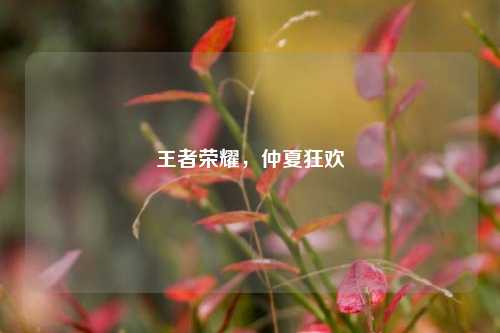 王者荣耀，仲夏狂欢