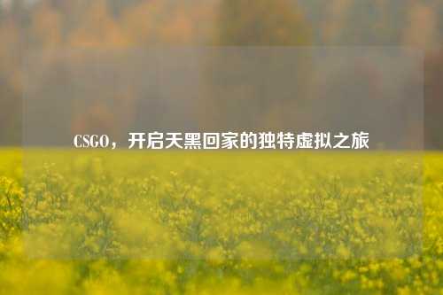 CSGO，开启天黑回家的独特虚拟之旅