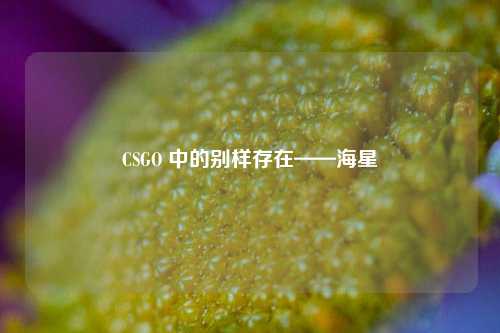 CSGO 中的别样存在——海星