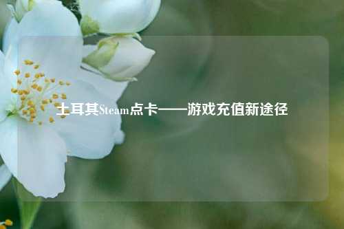 土耳其Steam点卡——游戏充值新途径