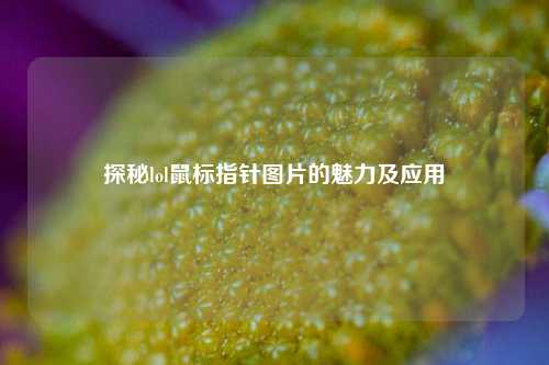 探秘lol鼠标指针图片的魅力及应用