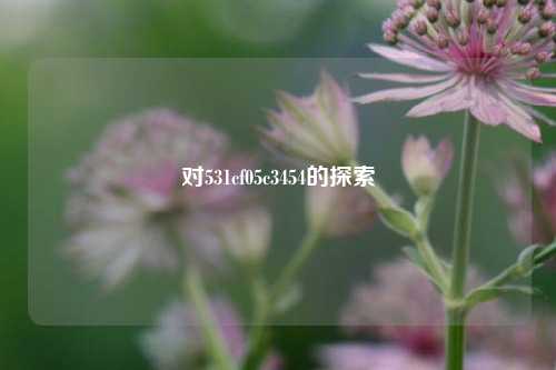 对531cf05c3454的探索