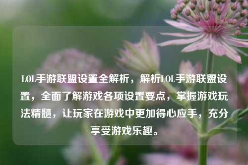 LOL手游联盟设置全解析，解析LOL手游联盟设置，全面了解游戏各项设置要点，掌握游戏玩法精髓，让玩家在游戏中更加得心应手，充分享受游戏乐趣。