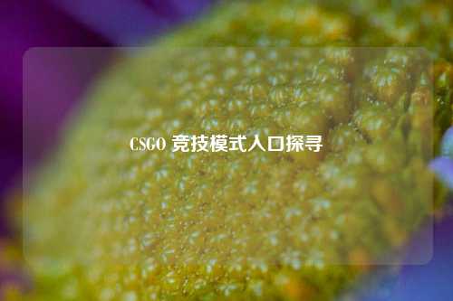 CSGO 竞技模式入口探寻