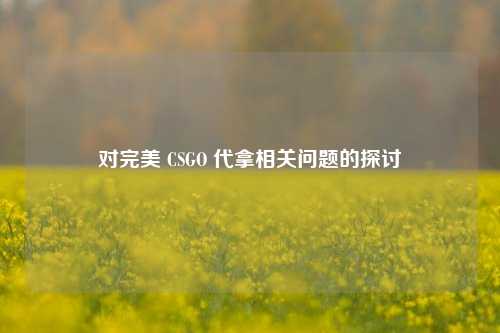 对完美 CSGO 代拿相关问题的探讨
