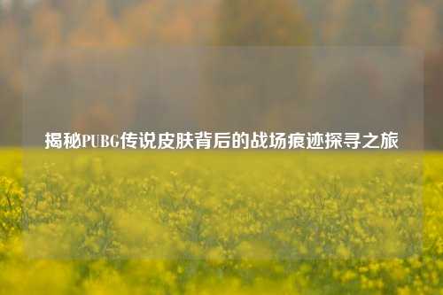 揭秘PUBG传说皮肤背后的战场痕迹探寻之旅