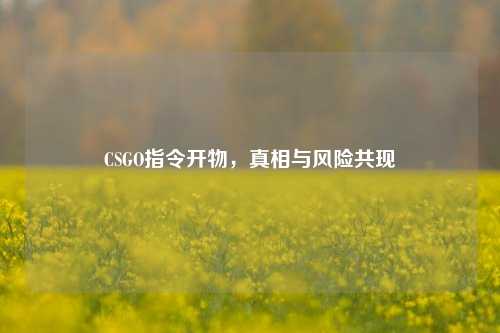 CSGO指令开物，真相与风险共现