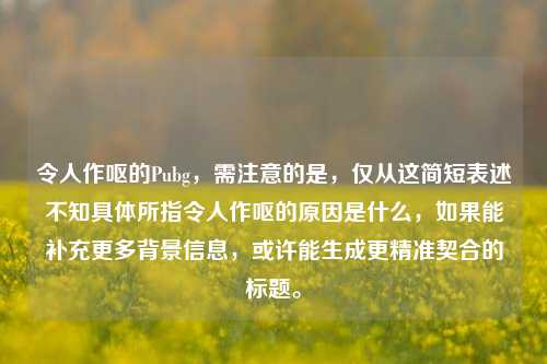令人作呕的Pubg,需注意的是,仅从这简短表述不知具体所指令人作呕的原因是什么,如果能补充更多背景信息,或许能生成更精准契合的标题。