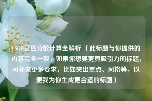 CSGO官匹分数计算全解析 （此标题与你提供的内容完全一致，如果你想要更具吸引力的标题，可补充更多要求，比如突出重点、风格等，以便我为你生成更合适的标题）