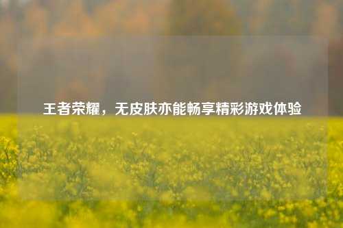 王者荣耀，无皮肤亦能畅享精彩游戏体验