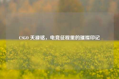 CSGO 天禄铭,电竞征程里的璀璨印记