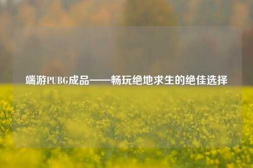 端游PUBG成品——畅玩绝地求生的绝佳选择