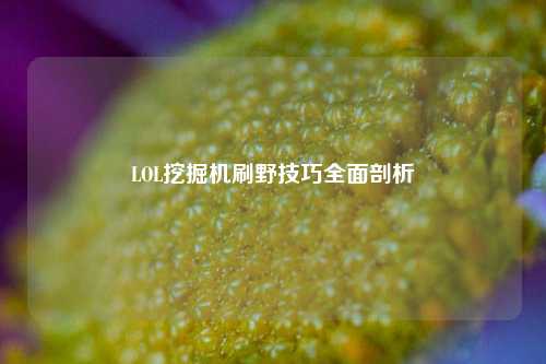 LOL挖掘机刷野技巧全面剖析