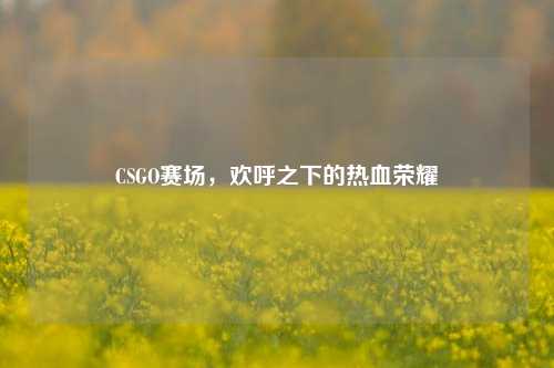 CSGO赛场,欢呼之下的热血荣耀