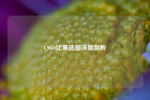 CSGO比赛选图深度剖析