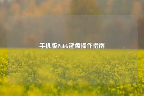手机版PubG键盘操作指南