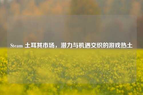 Steam 土耳其市场,潜力与机遇交织的游戏热土
