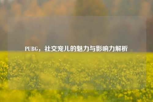 PUBG，社交宠儿的魅力与影响力解析