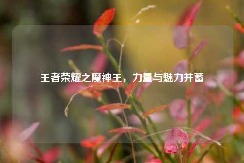 王者荣耀之魔神王，力量与魅力并蓄