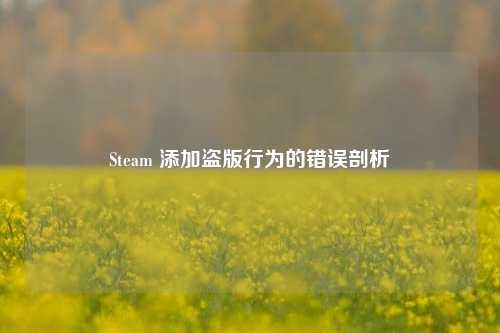 Steam 添加盗版行为的错误剖析