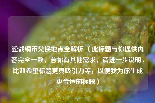 逆战铜币兑换地点全解析 （此标题与你提供内容完全一致，若你有其他需求，请进一步说明，比如希望标题更具吸引力等，以便我为你生成更合适的标题）