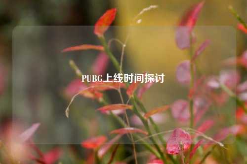 PUBG上线时间探讨