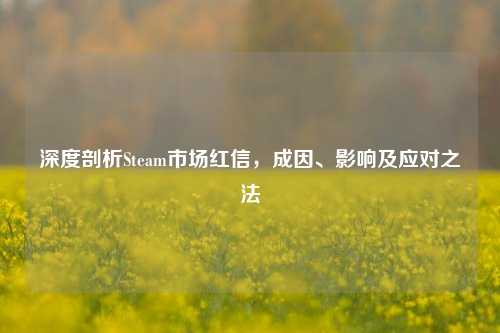 深度剖析Steam市场红信，成因、影响及应对之法