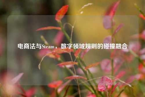 电商法与Steam，数字领域规则的碰撞融合