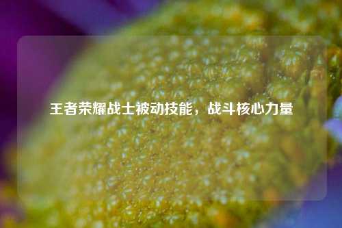 王者荣耀战士被动技能，战斗核心力量